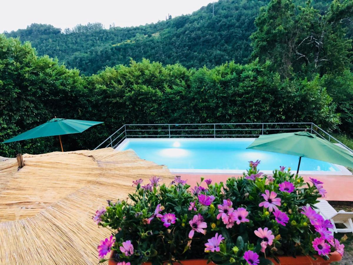 La Vecchia Canonica Fivizzano Bagian luar foto